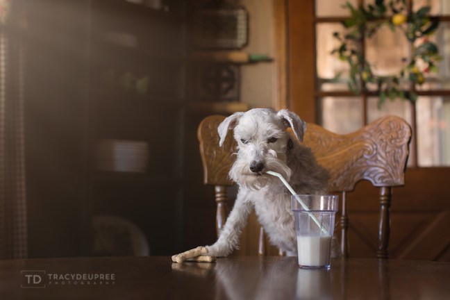 5W3A8111-Edit copyfb