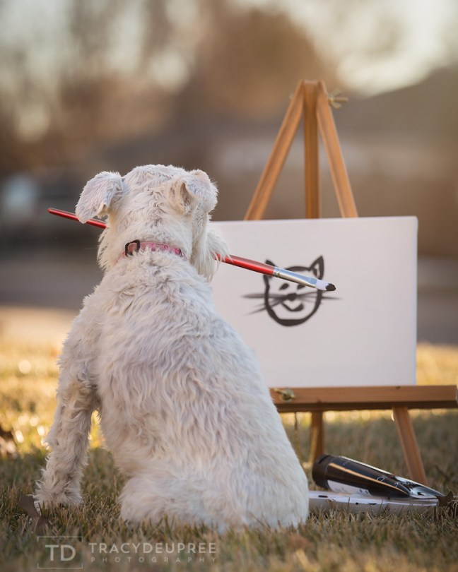 5W3A8138-Edit copy2 copyfb