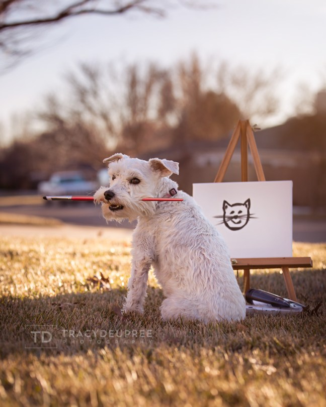 5W3A8148-Edit copyfb