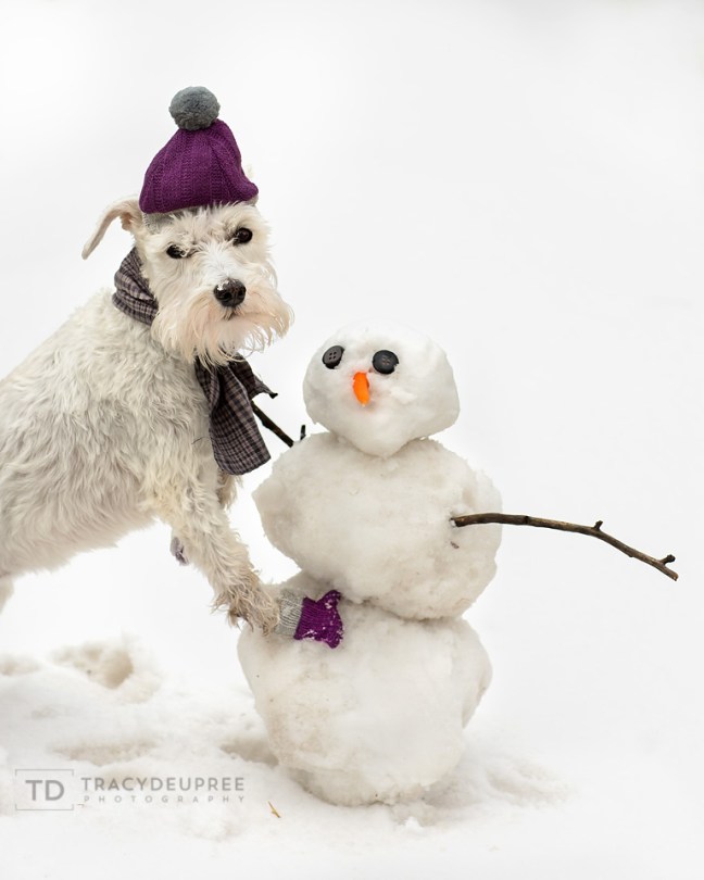 5W3A8177-Edit-3 copyfb