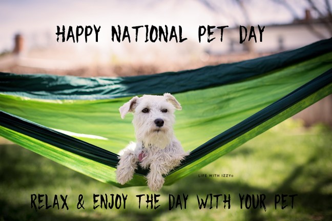 5W3A0921-Edit copyfb