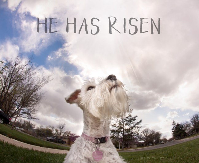 LifewithIzzyHehasrisen