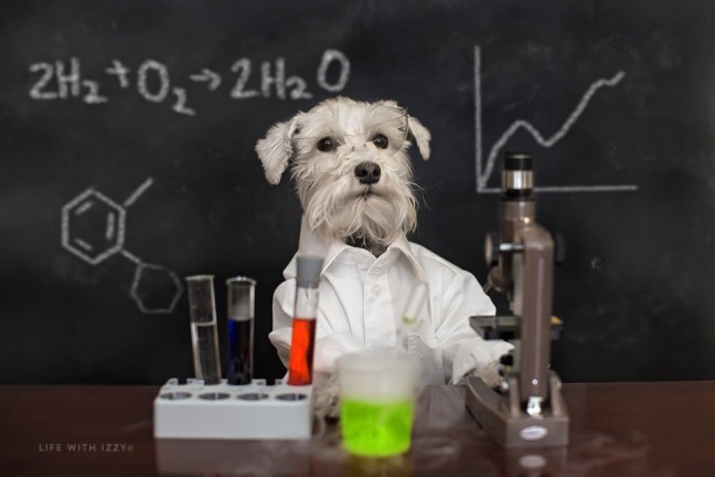 lifewithizzyscientistredo2 copyfb