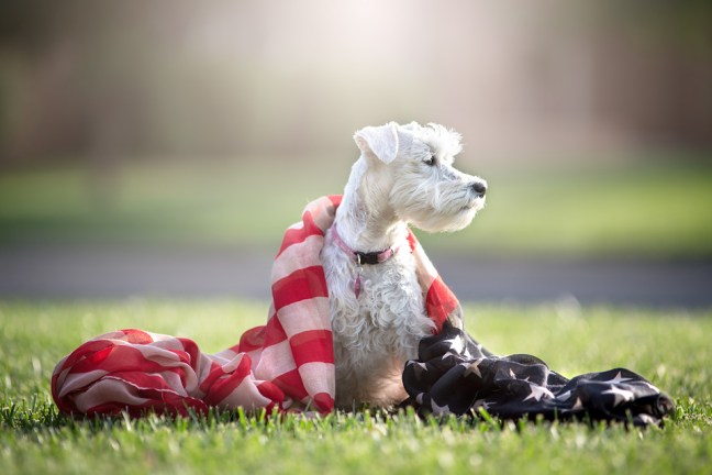 5W3A3162-Edit copy 2