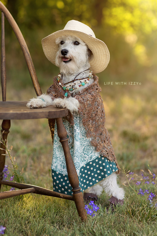 lifewithizzybohofashion2 copy 2fb