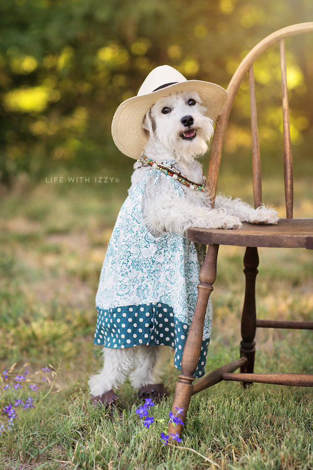 lifewithizzybohofashionjustdress copyfb