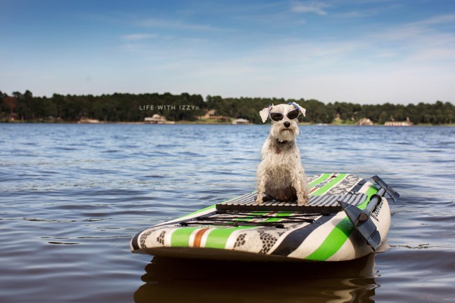 lifewithizzypaddleboardnofilteruse copyfb