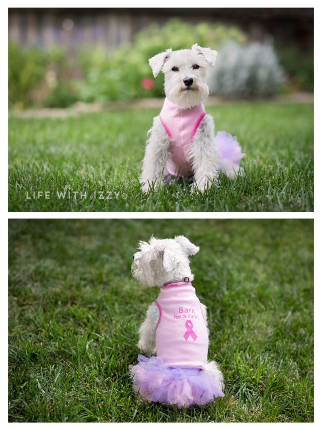 lifewithizzybreastcancercollagenowig