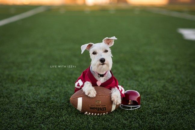 lifewithizzyfootball1-copyfb