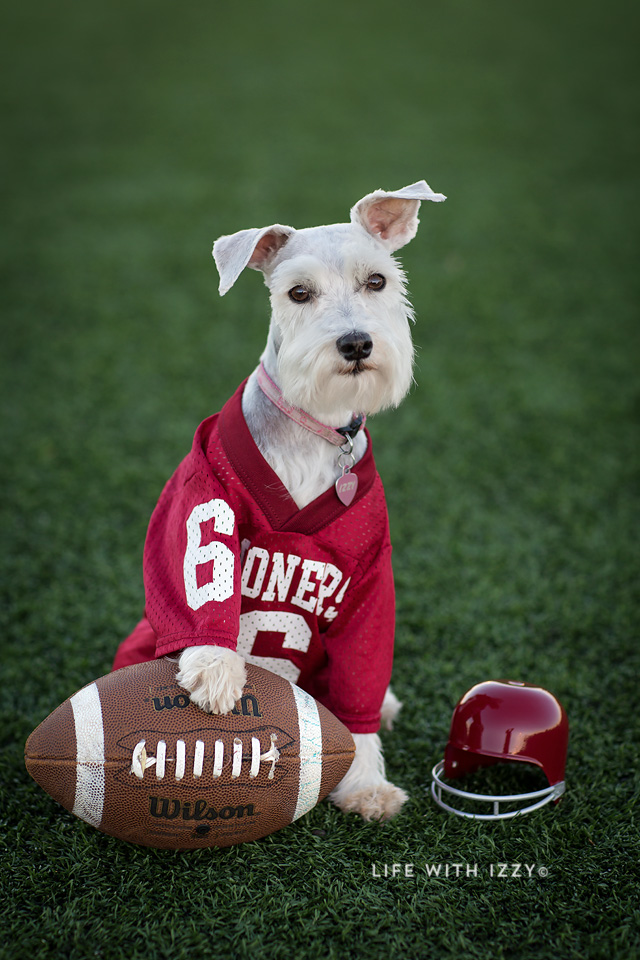 lifewithizzyfootball3-copyfb