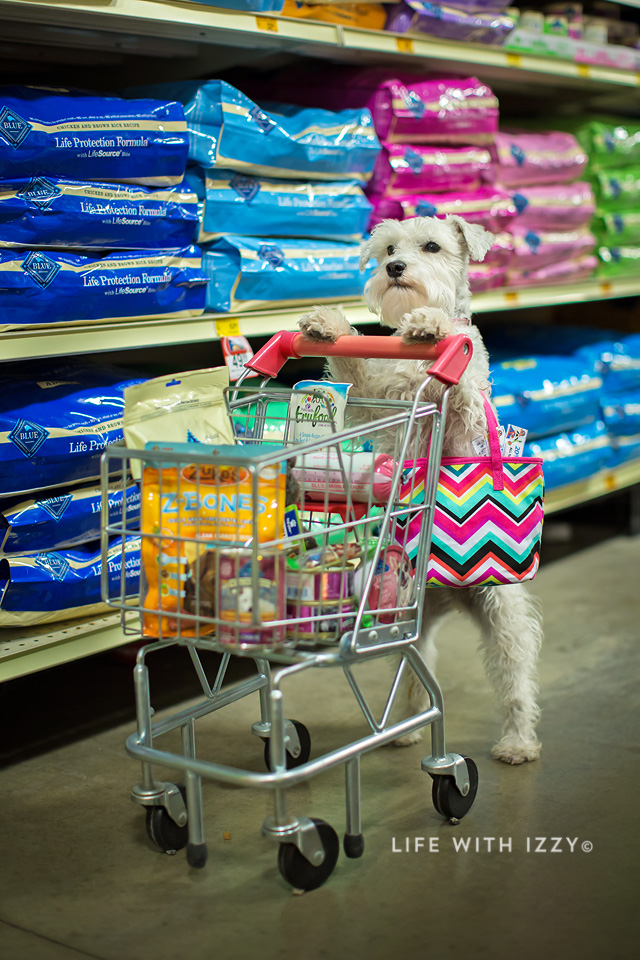 lifewithizzyshopping2-copyfb