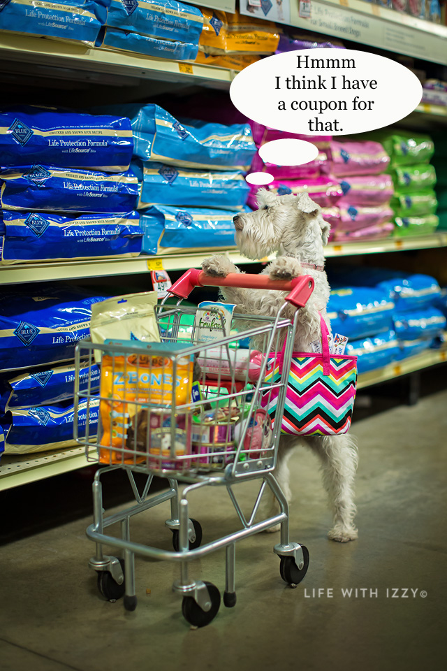 lifewithizzyshopping4-copyfb2