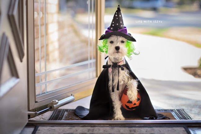 lifewithizzytrickortreat2-copyfb