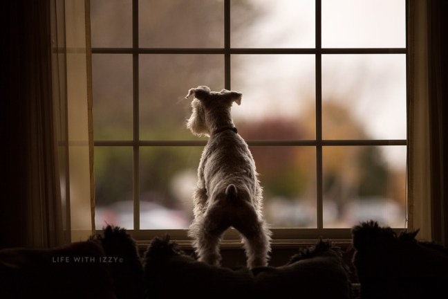 5w3a5341-edit-copyfb