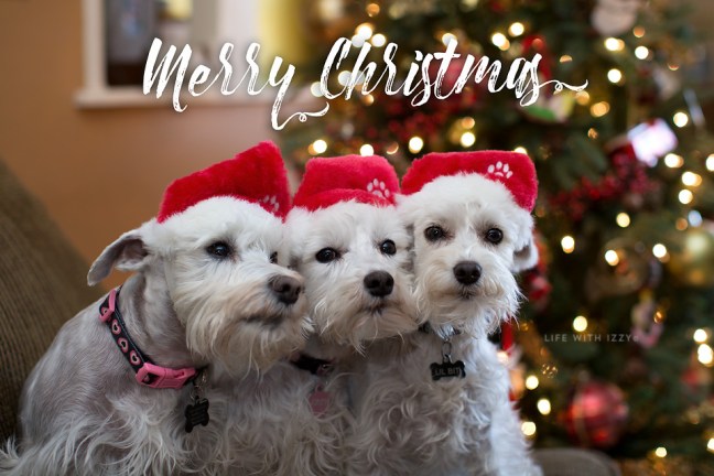 5w3a5793-edit-copyfb