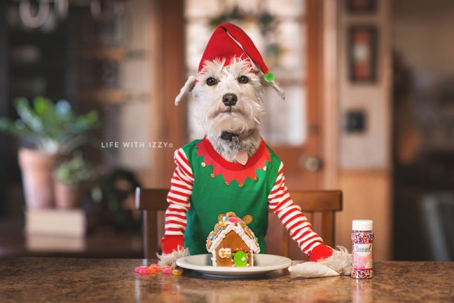 lifewithizzyelfgingerbreadhousedixedfb