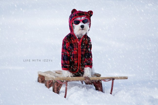 lifewithizzysnowday2-copyfb