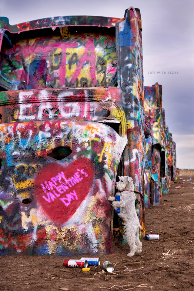 lifewithizzyvalentinesdaycaddlillacranch-copyfb