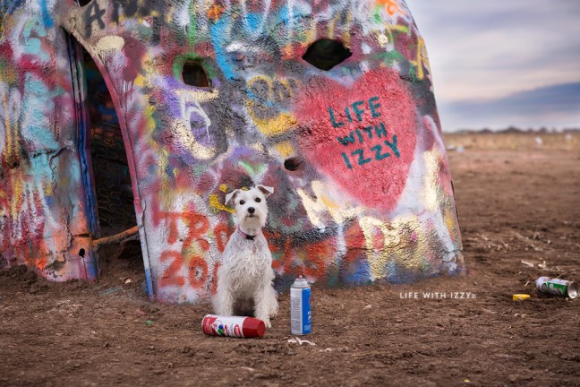 lifewtihizzycadillacranch2-copyfb