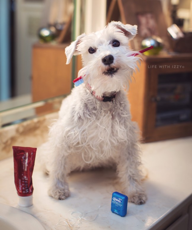 lifewithizzydentalhealthmonthfb