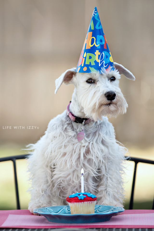 lifewithizzyhappybirthdayfix-copyfb