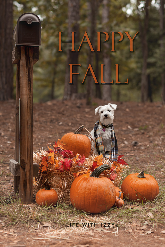 Happy Fall Beth Happy Fall Pictures