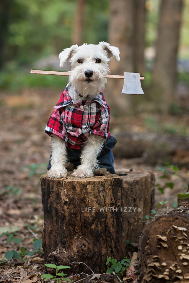 lifewithizzylumberjaccrop copyfb