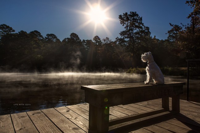 5W3A8478-Edit copyfb