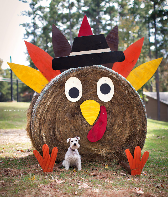 5W3A8514-Edit copyfb